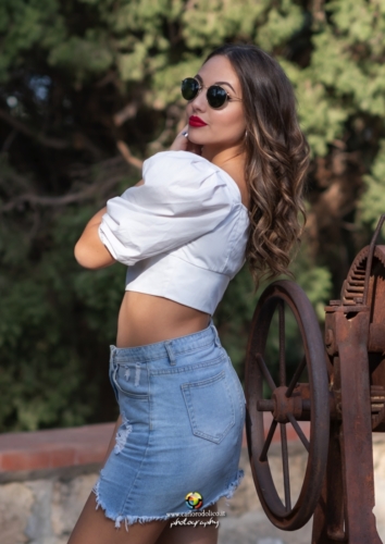 Alice-8013