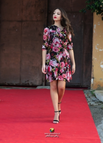 Alice-8559-1
