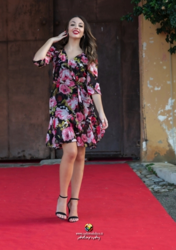 Alice-8567-1