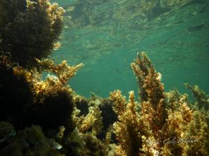 DSCN1303