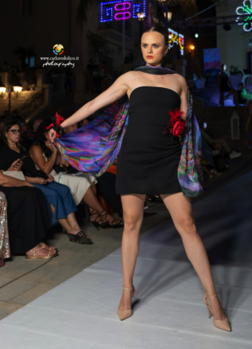 DSC 0871 001