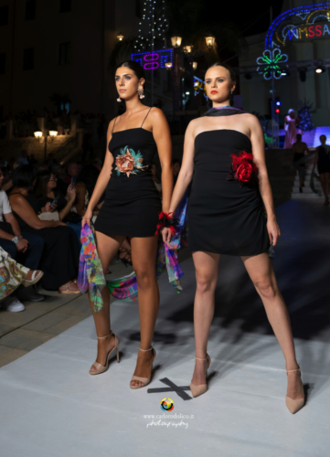 DSC 0951 001