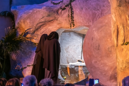 Presepe-2501
