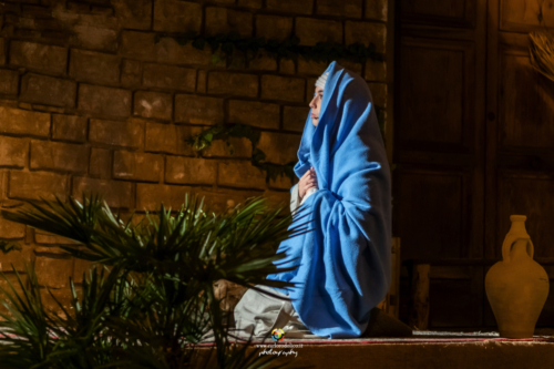Presepe-2864