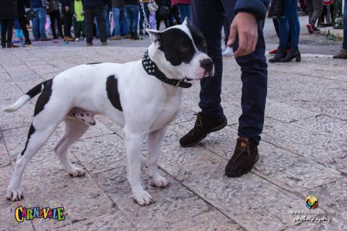 San Nicola-9687