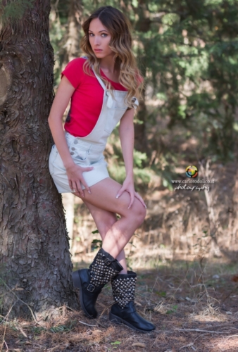 model-3651-1