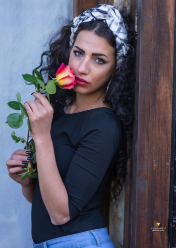 model-6693